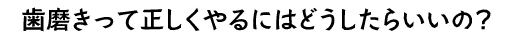 歯磨きって正しくやるにはどうしたらいいの？