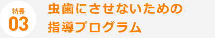 虫歯にさせないための指導プログラム